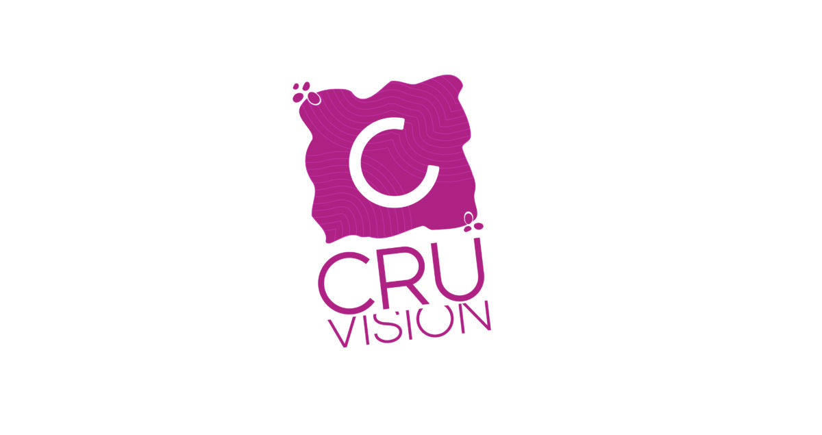 (c) Cruvision.it