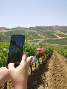 foto nella foto di bicchiere di vino in vigna