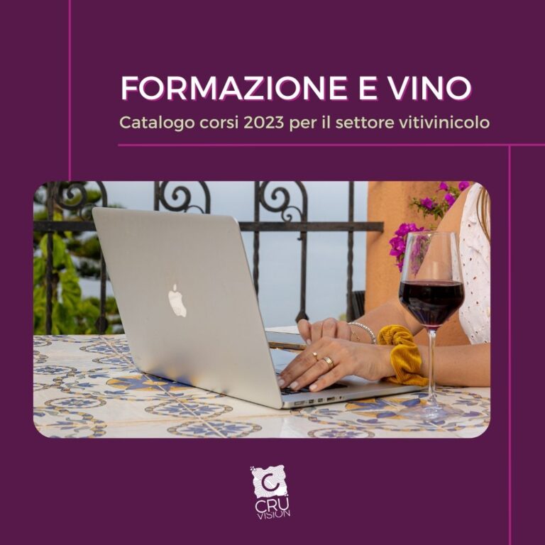 Formazione e vino: nuove opportunità formative per il settore vitivinicolo